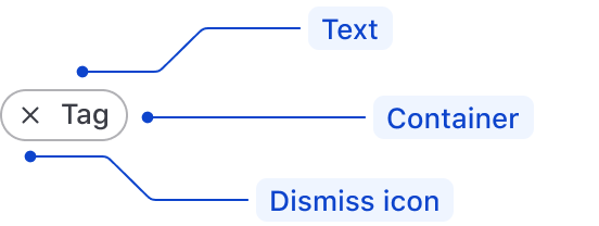 Tag anatomy